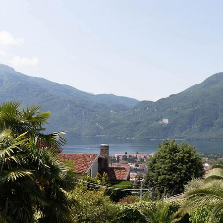 Mamma Ciccia Holiday Home - Mountains & Lake Mandello del Lario Bagian luar foto